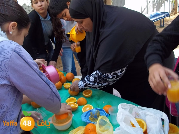 treesnewzahra2 (9).jpg